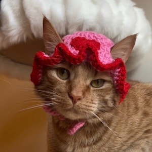Puede incluir: Un gato jengibre con un gorro de fresa de ganchillo rosa y rojo. El gato está mirando directamente a la cámara con una expresión seria.