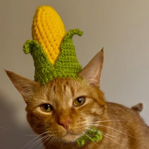 Può includere: Un gatto zenzero con un cappello di mais all'uncinetto. Il cappello è giallo e verde e ha un papillon verde.