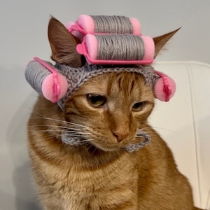 Oma-Perücke für Katzen, Lockenwickler-Katzenmütze, Häkelmütze mit grauem Haar für Haustiere, Oma-Mütze für Katzen, Oma-Kostüm