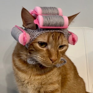 Grandma Wig Crochet Cat Hat with Hair Curlers, Pet Costume