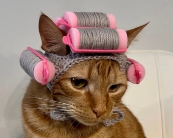 CROCHET PATTERN - Hair Curler Cat Hat Pattern Digital PDF, Grandma Wig for Cat Crochet Pattern, Hair Curler Hat Crochet Pattern for Pets