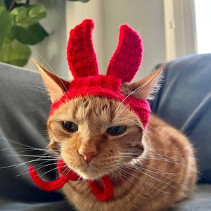 May include: A ginger cat wearing a red crocheted lobster hat with a matching bow tie. The cat is looking at the camera with a serious expression.