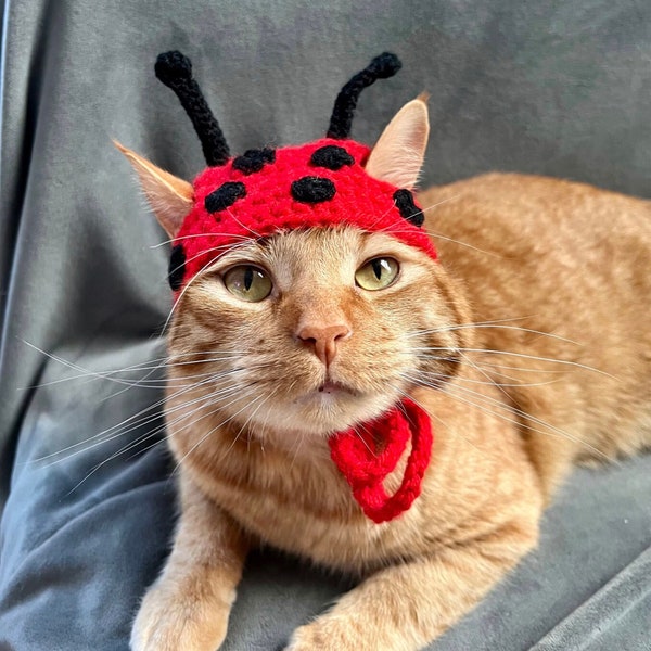 CROCHET PATTERN - Ladybug Cat Hat Crochet Pattern Digital PDF, Ladybug Pet Hat Crochet Pattern, Ladybug Hat Crochet Pattern for Pets