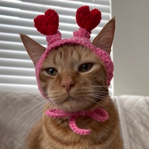May include: A ginger cat wearing a pink crocheted hat with red heart accents. The hat has a matching pink crocheted bow around the cat's neck.