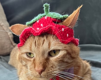 Strawberry Hat for Cats, Ruffle Berry Hat for Pets, Red Strawberry Cat Hat