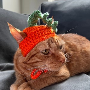 Crochet Pumpkin Cat Hat: Halloween Pet Costume
