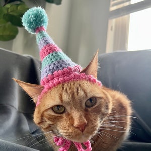 Birthday Hat for Cats, Cat Birthday Hat, Birthday Hat for Pets, Party Hat for Cats, Crochet Cat Hat, Customizable Party Hat for your Pet