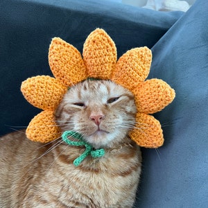 Chapeau fleur pour chat, chapeau chat tournesol, chapeau au crochet pour animaux de compagnie, chapeau pétale jaune pour chat