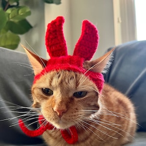 Puede incluir: Un gato jengibre con un sombrero de langosta de ganchillo rojo con una pajarita de ganchillo roja. El gato está sentado en un sofá gris.