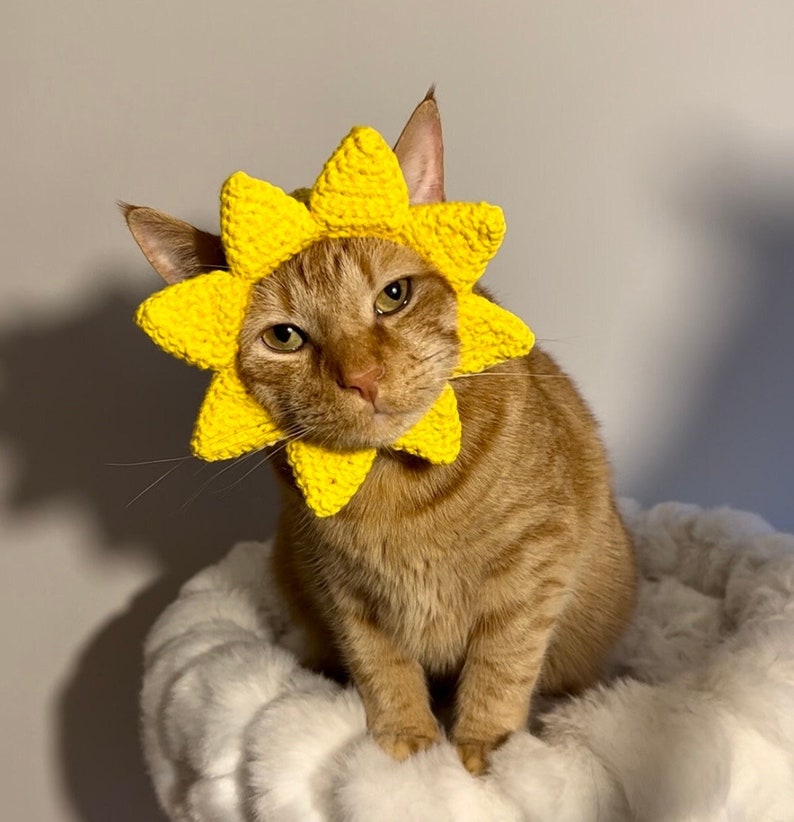 Sun Hat for Cats, Sunshine Cat Hat, Ray of Sunshine Crochet Hat for Pets, Yellow Sun Hat for Cats image 1