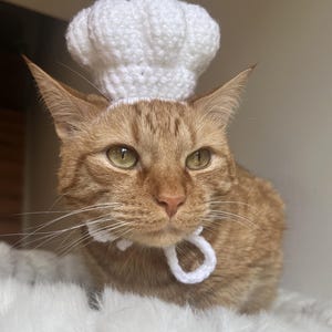 May include: An orange tabby cat wearing a white crocheted chef's hat and a matching collar. The cat has green eyes and is sitting on a fluffy white surface. The chef's hat is a classic design.
