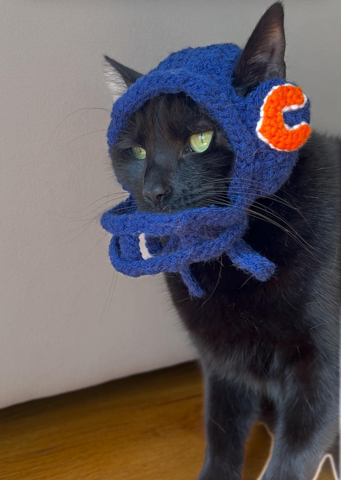 black cat football helmet Tiger-Cats Mini the S2BD Cat Helmet - football