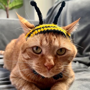 Bumblebee Cat Costume, Bumblebee Cat Hats, Honey Bee Hats for Pets, Bee Hat for Cats