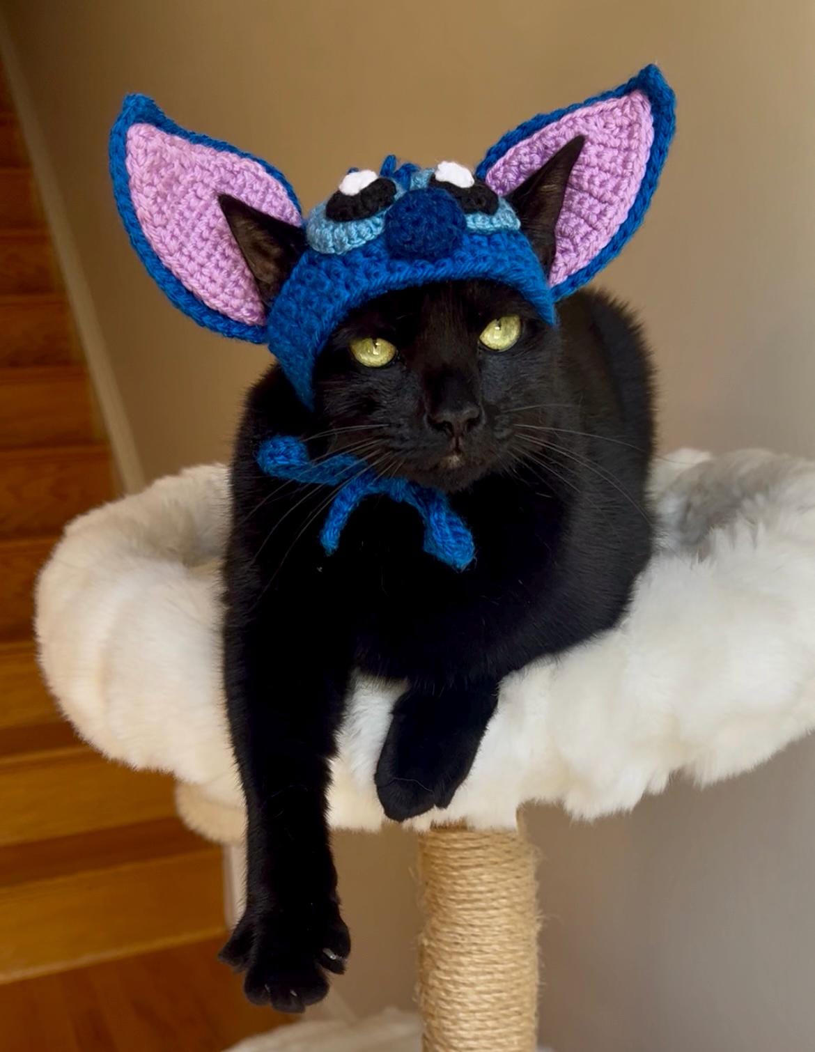 猫用スティッチ帽子、リロ＆スティッチ猫コスチューム、ペット用