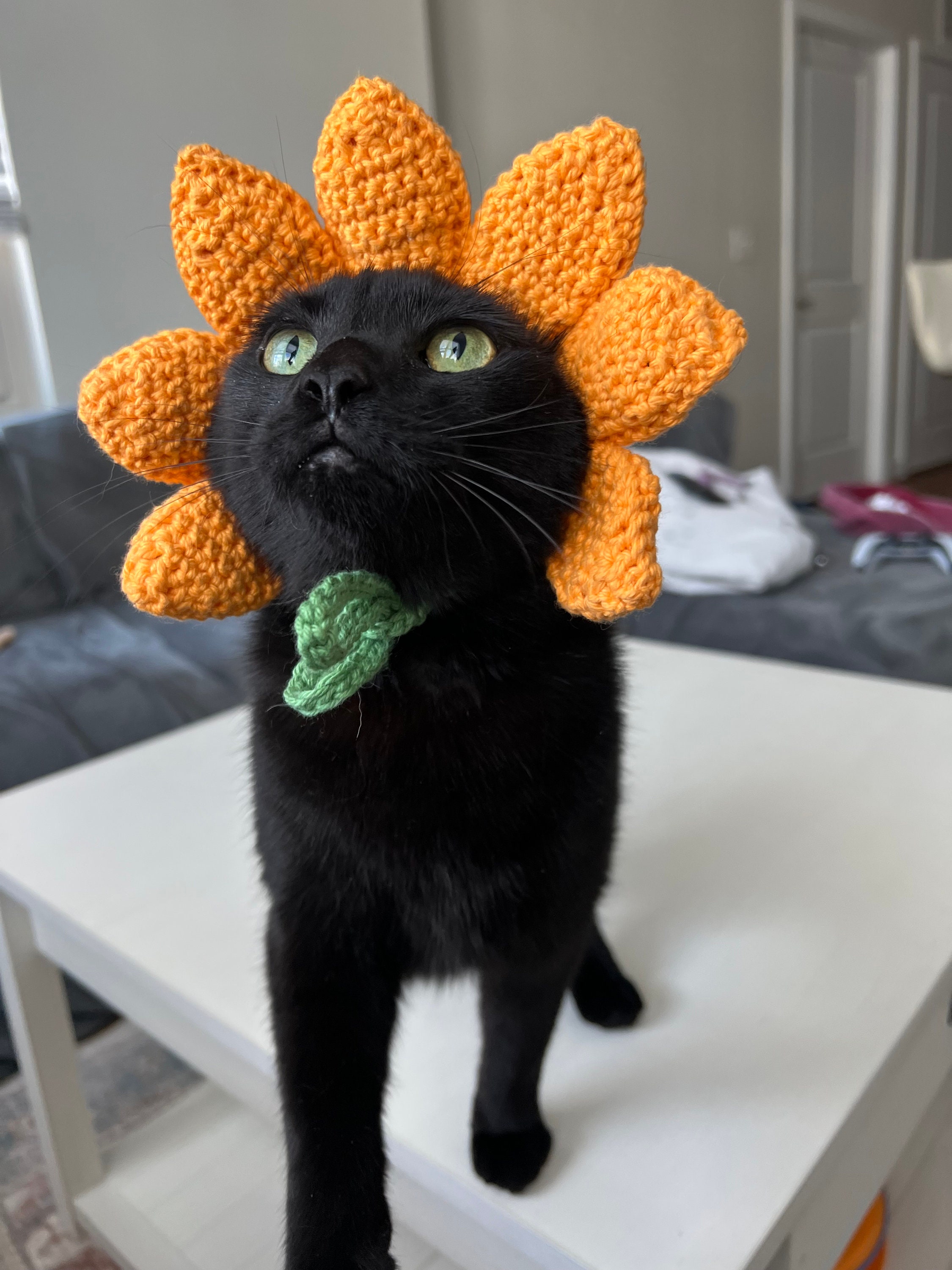 かぎ針編みのひまわり猫帽子、ペットコスチューム - Etsy 日本