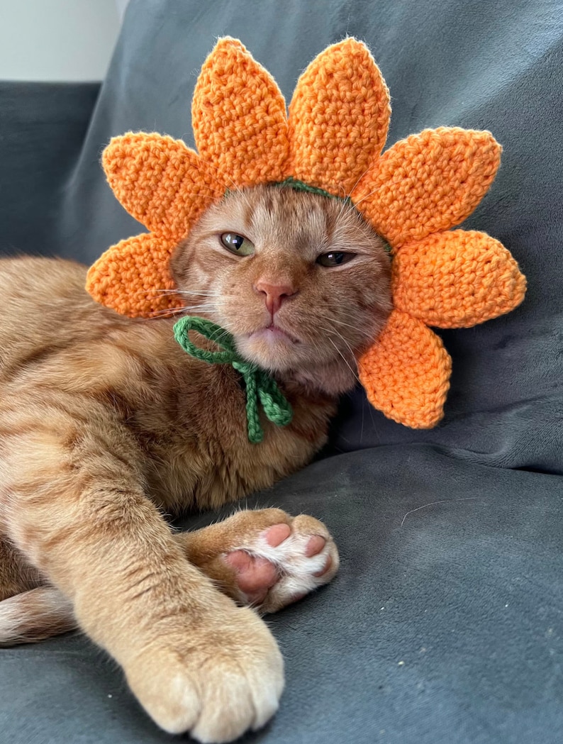 May include: A ginger cat wearing a crocheted orange flower hat. The cat is lying on a gray couch.