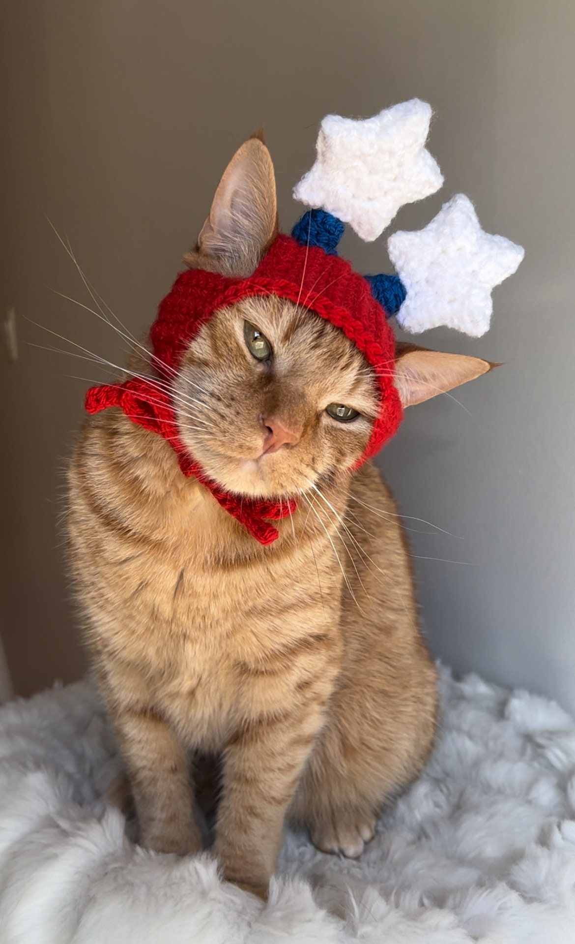 Star Antenna Hat for Cats, 4th of July Hat for Pets, Fourth