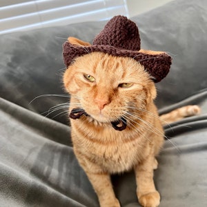 Cowboy Cat Hat Crochet Pattern (PDF Digital Download)