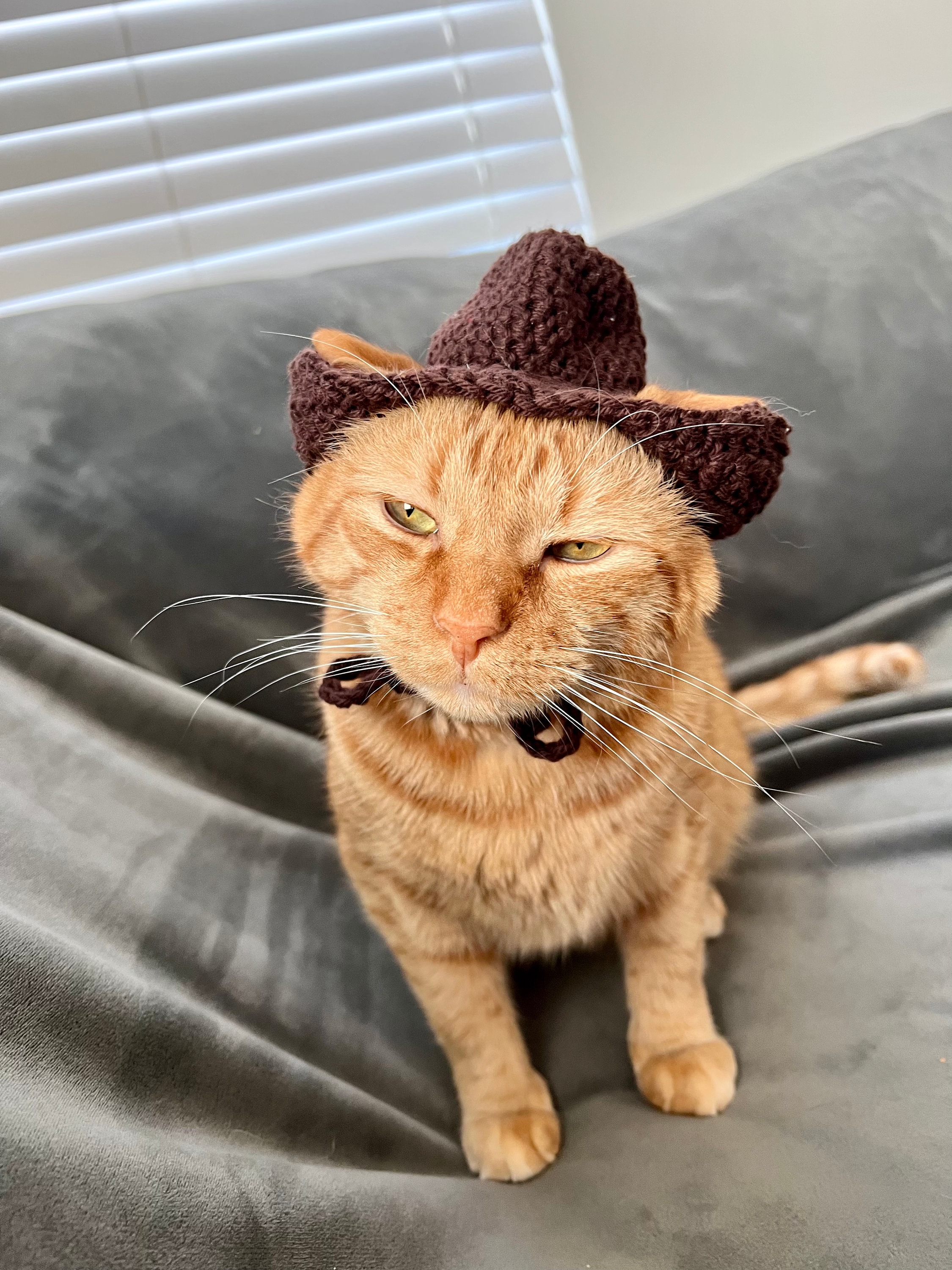30 Cowboy Hat Crochet Patterns for Western-Inspired Hats, Miniatures, and Giftable Makes 33 Cowboy Cat Hat Pattern