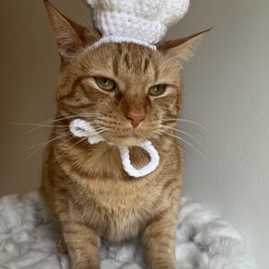 May include: An orange tabby cat wearing a white crocheted chef's hat and a matching bow tie. The cat is sitting on a fluffy white surface, with a neutral background. The cat has green eyes and a serious expression.
