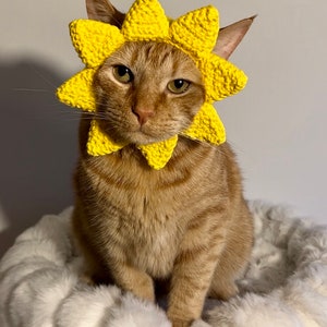 Sun Hat for Cats, Sunshine Cat Hat, Ray of Sunshine Crochet Hat for Pets, Yellow Sun Hat for Cats image 2