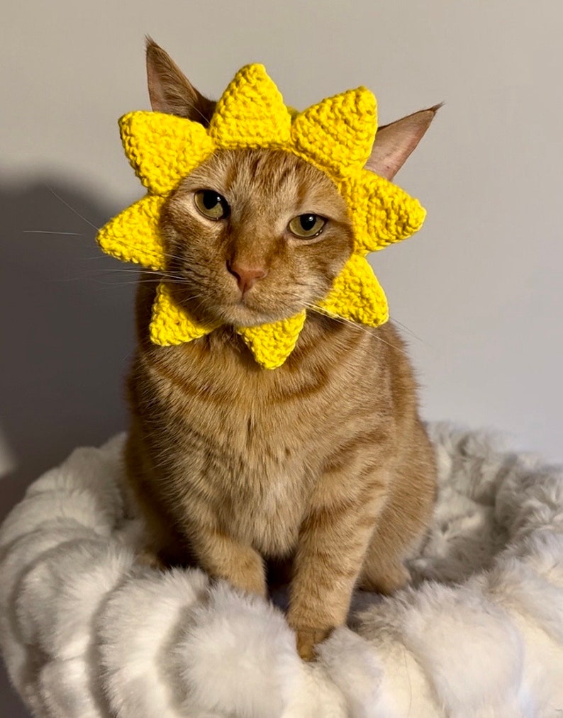 Sun Hat for Cats, Sunshine Cat Hat, Ray of Sunshine Crochet Hat for Pets, Yellow Sun Hat for Cats image 2