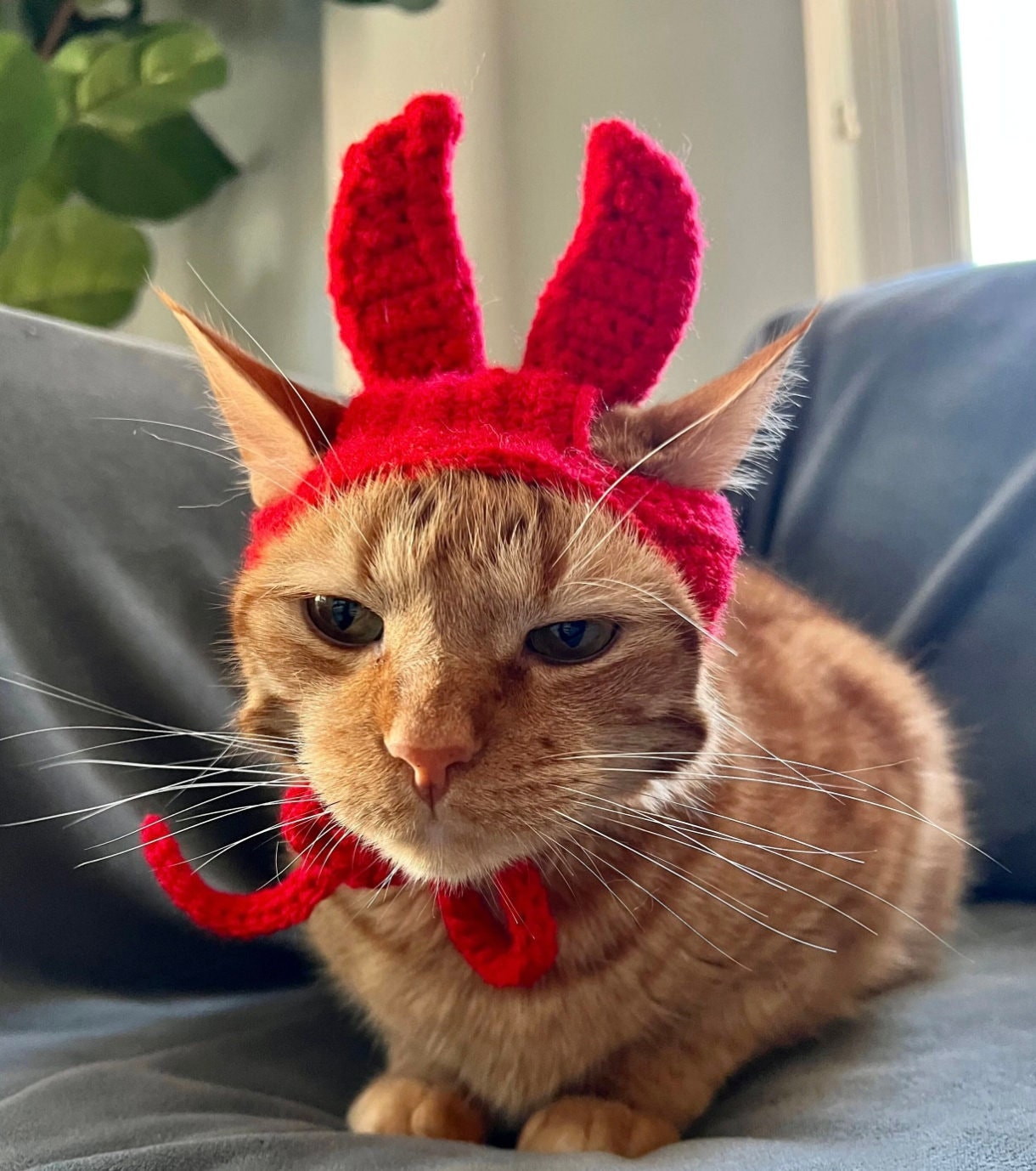 30 Unique Crochet Hats That Are Sure To Amaze You! 3 Devil Cat Hat Costume Pattern