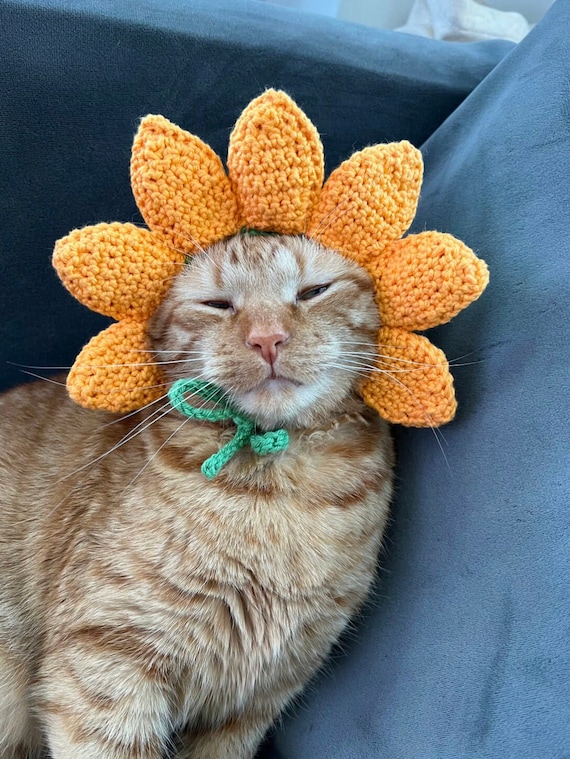 Crochet Sunflower Cat Hat Pattern: Beginner-Friendly (PDF Digital Download)