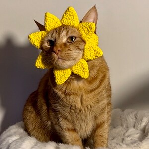 Sun Hat for Cats, Sunshine Cat Hat, Ray of Sunshine Crochet Hat for Pets, Yellow Sun Hat for Cats image 3