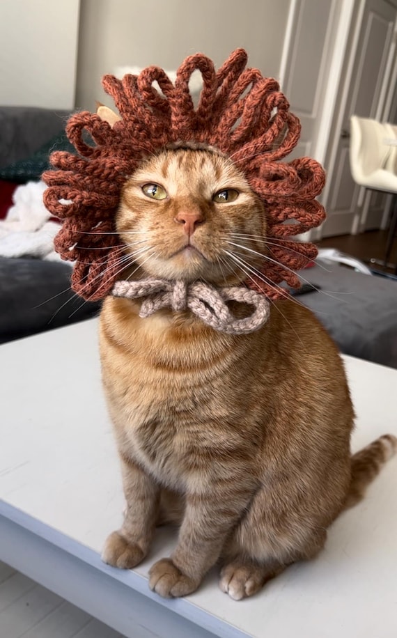 猫と小型犬用のかぎ針編みライオンたてがみ帽子：写真撮影用小道具