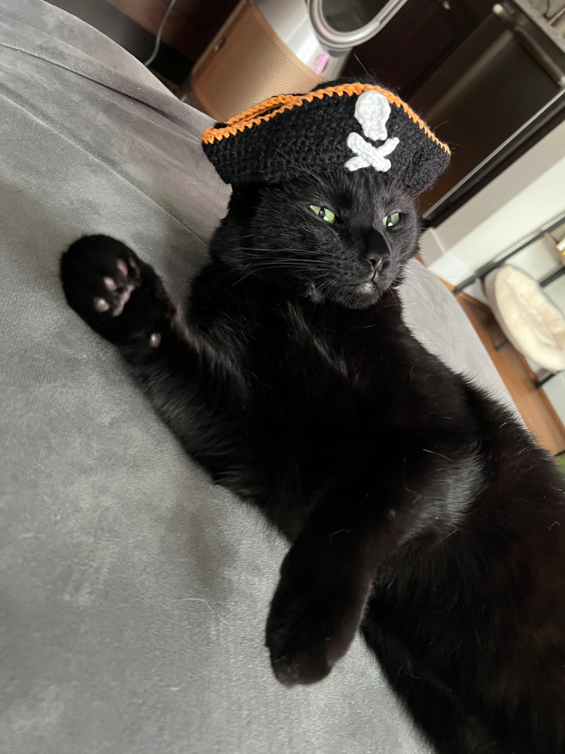 [ALICE and the PIRATES]黒猫マフラー付き帽子 ALICE and the PIRATES]黒猫マフラー付き帽子