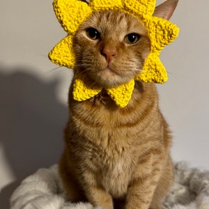 Sun Hat for Cats, Sunshine Cat Hat, Ray of Sunshine Crochet Hat for Pets, Yellow Sun Hat for Cats image 4