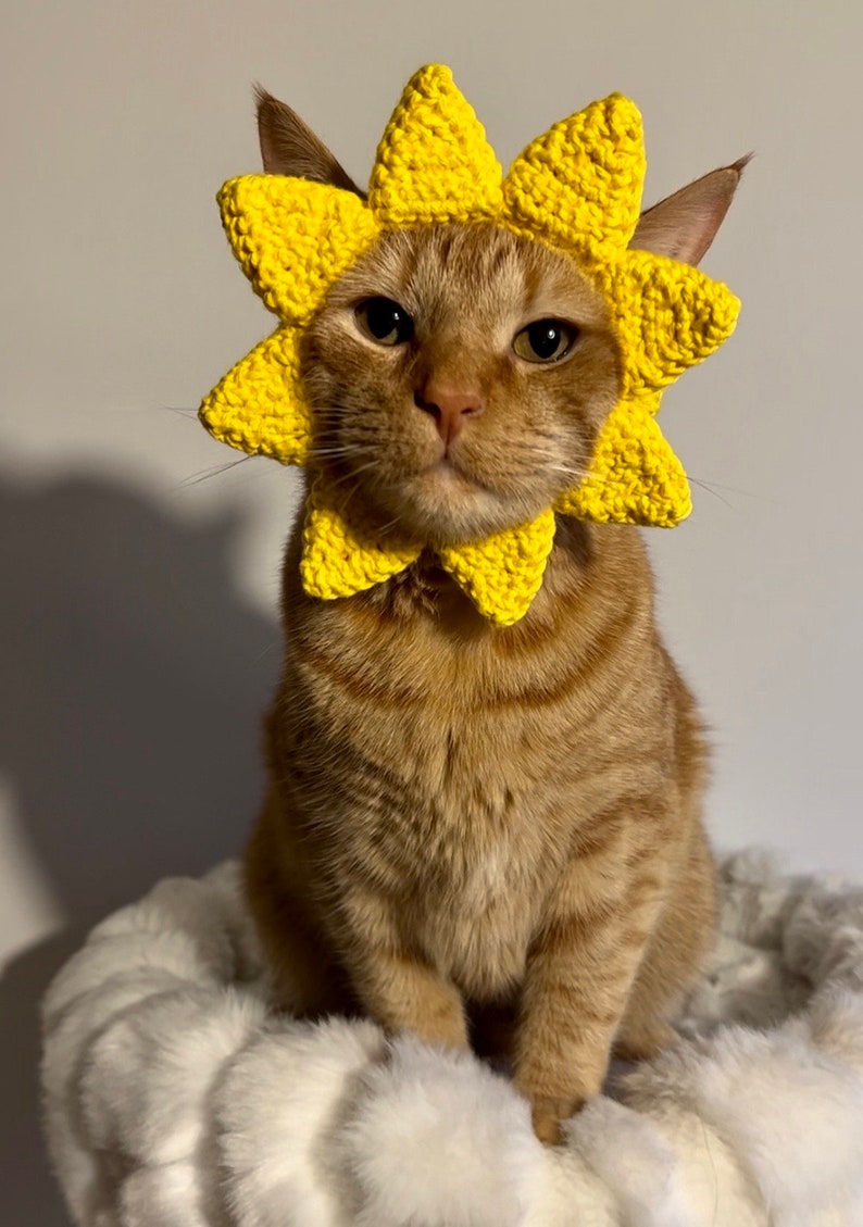 Sun Hat for Cats, Sunshine Cat Hat, Ray of Sunshine Crochet Hat for Pets, Yellow Sun Hat for Cats image 4