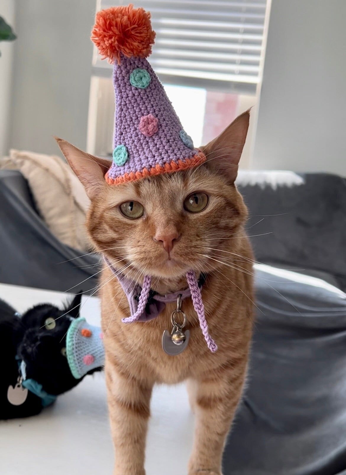 Cat Birthday Hats Etsy Canada