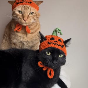 May include: Two cats wearing orange and black crocheted pumpkin hats with matching orange and black bow ties. The cats are sitting on a white fluffy surface.