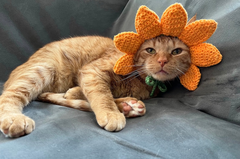 May include: A ginger cat wearing a crocheted orange sunflower costume with green leaves. The cat is lying on a gray couch.