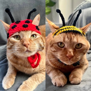 Bumblebee and Ladybug Cat Costume, Bumblebee and Lady Bug Cat Hats, Honey Bee and Ladybug Hats for Pets
