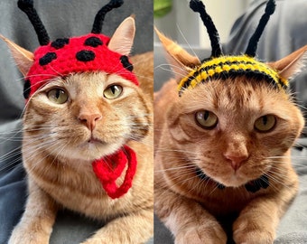 Bumblebee and Ladybug Cat Costume, Bumblebee and Lady Bug Cat Hats, Honey Bee and Ladybug Hats for Pets