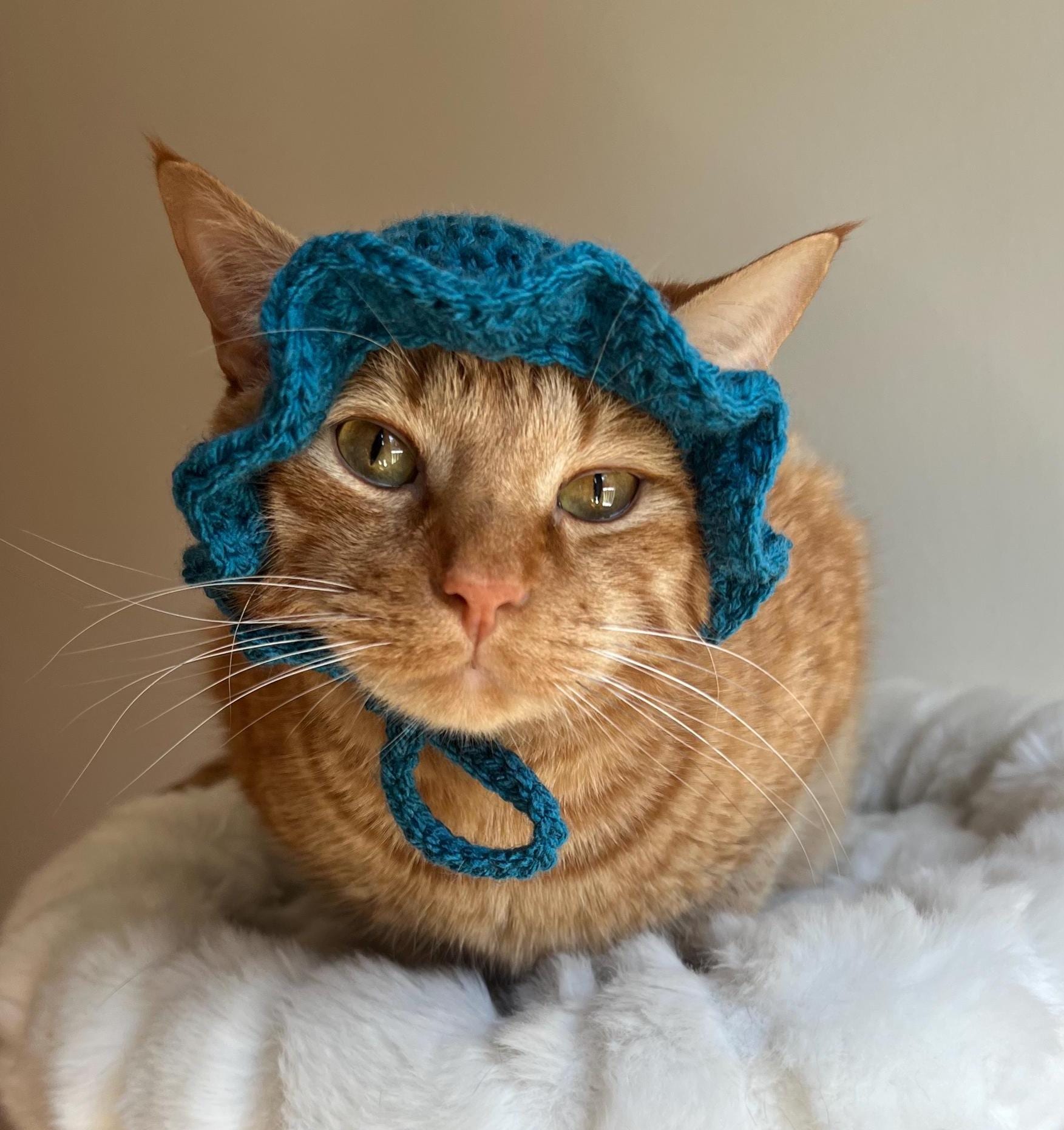 最終値下げandwang Fluffy cat knit hat il_fullxfull.6964409498_ojkg.jpg