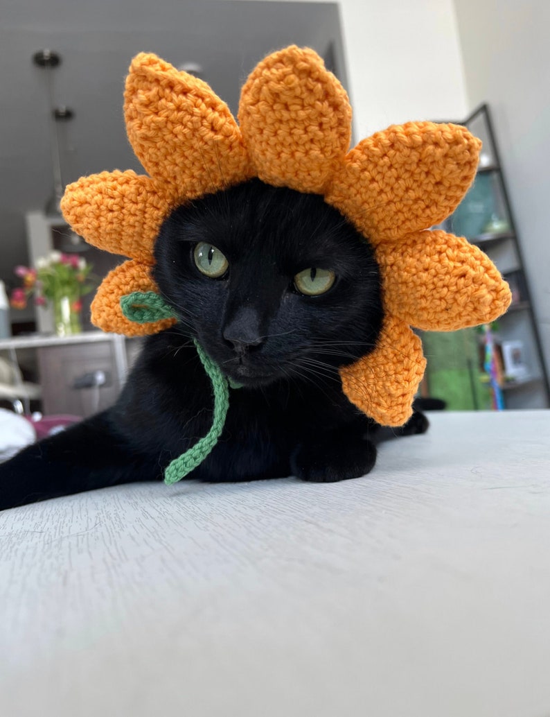 May include: A black cat wearing a crocheted orange sunflower costume. The sunflower has green leaves and is sitting on the cat's head.