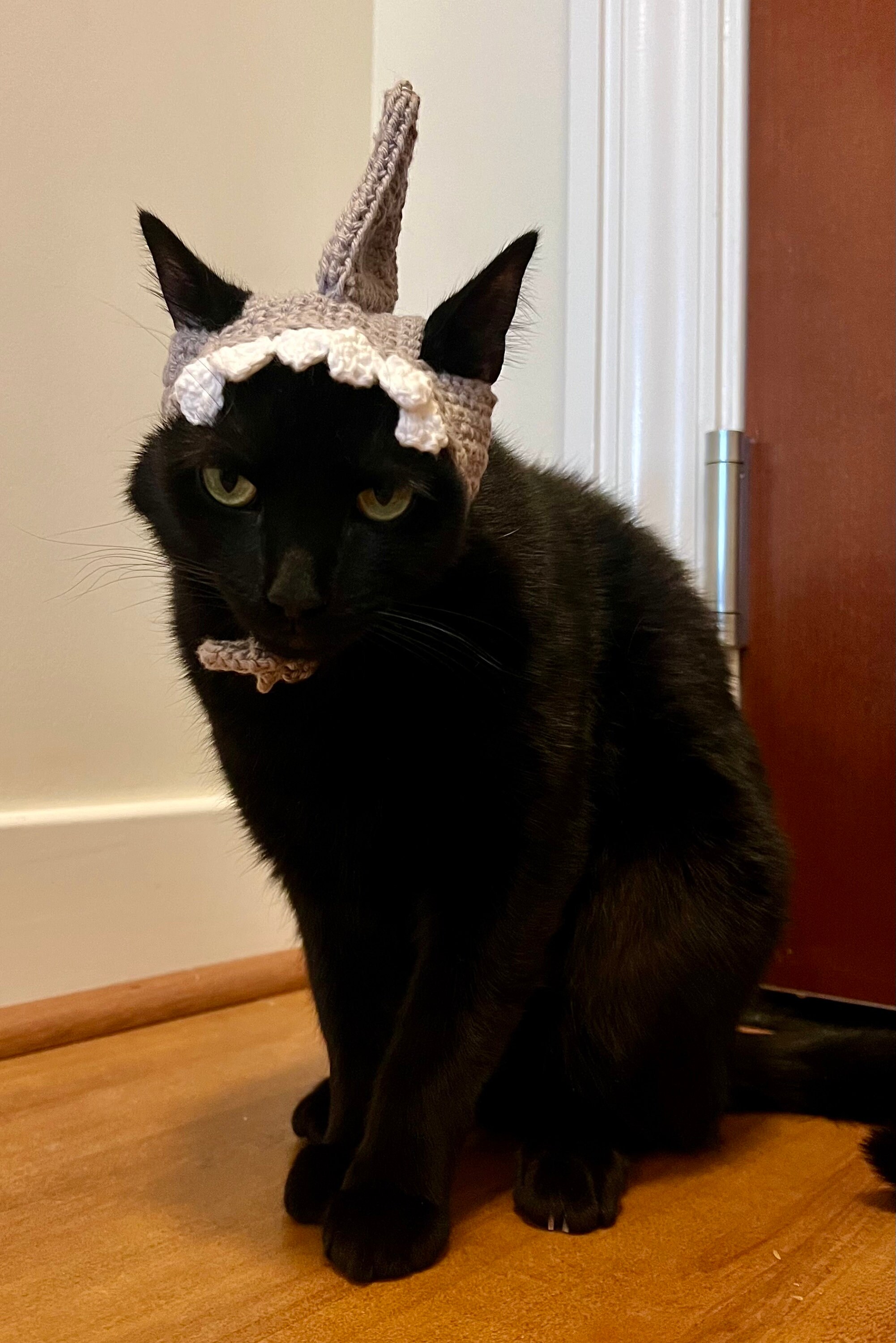 猫用サメ帽子、猫用サメコスチューム、ホオジロ猫用帽子