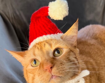 Crochet Santa Hat for Cats: Christmas Pet Costume