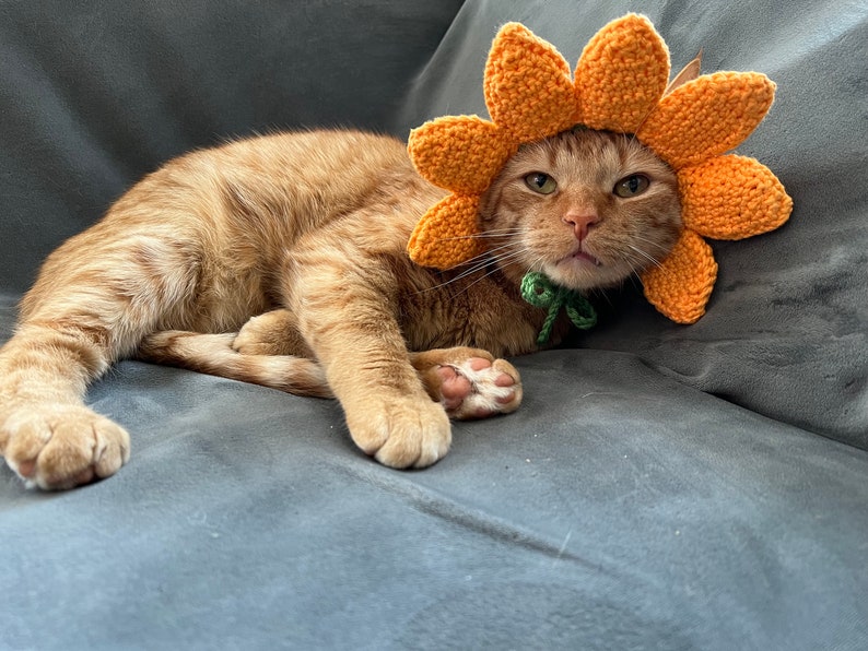Flower Hat for Cats Sunflower Cat Hat Crochet Hat for Pets Etsy