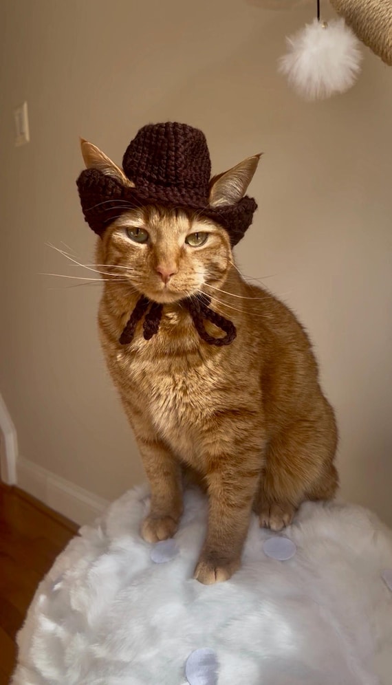 Cappello Da Cowboy E Sciarpa Per Cani E Gatti | Regolabile | Leggero 60g | Per Feste E Cosplay | Divertente Costume Per Animali Domestici