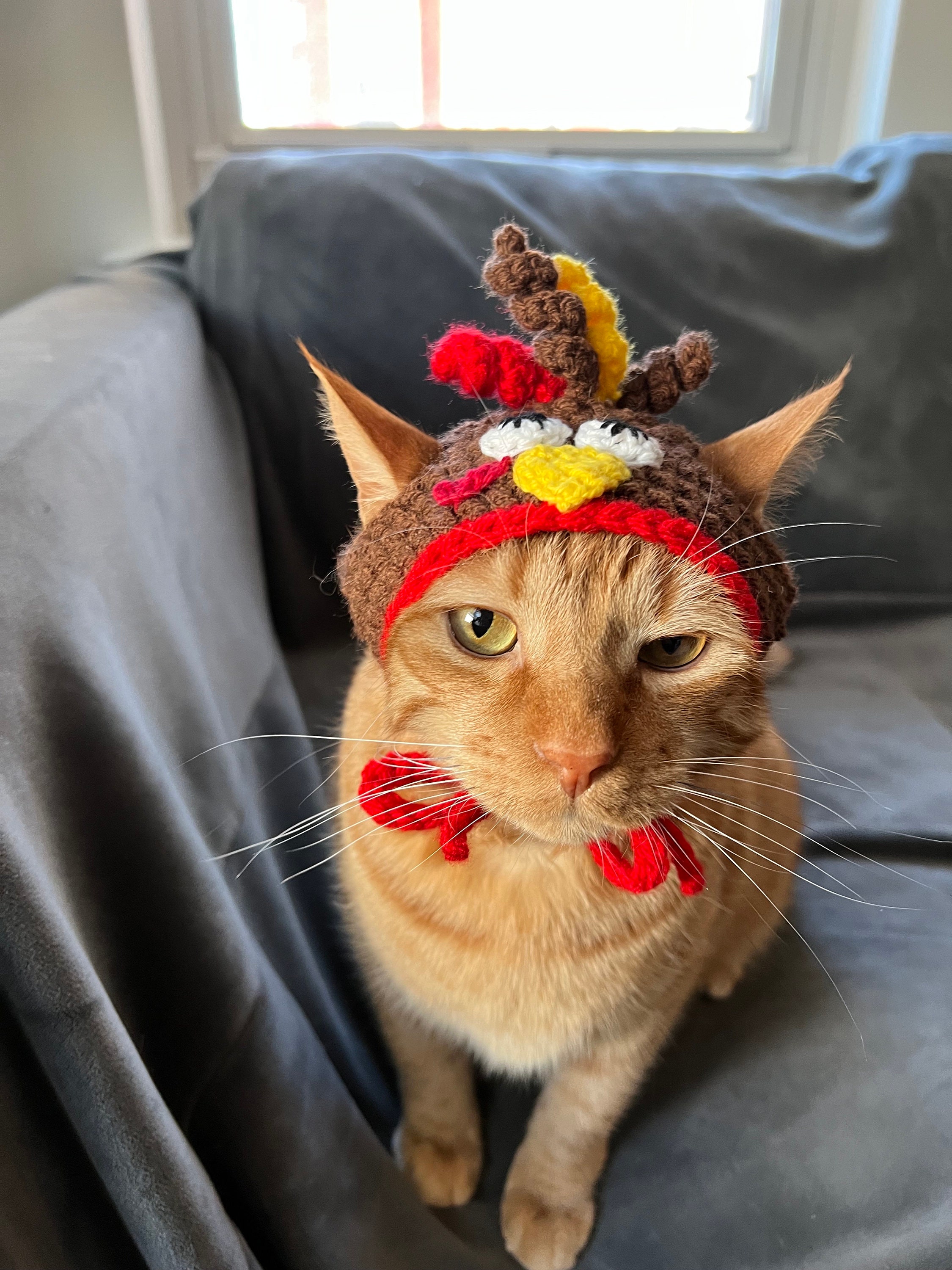 Thanksgiving Turkey Hat for Cats Funny Turkey Cat Hat With -  Denmark