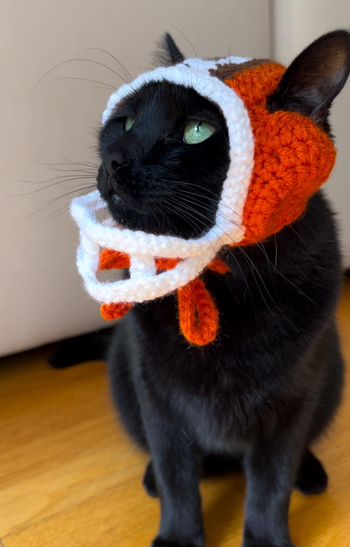 black cat football helmet Crochet Football Helmet Cat Hat Pattern: Customizable PDF Digital Download  (intermediate)