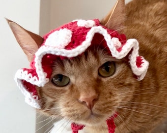 Mushroom Cat Costume, Mushroom Cat Hat, Shroom Hat for Pets