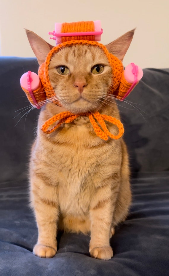 おばあちゃんのウィッグ かぎ針編み 猫用帽子 ヘアカーラー付き ペット