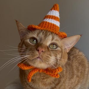 CROCHET PATTERN - Traffic Cone Cat Hat Crochet Pattern Digital PDF, Orange Traffic Cone Pet Hat Crochet Pattern