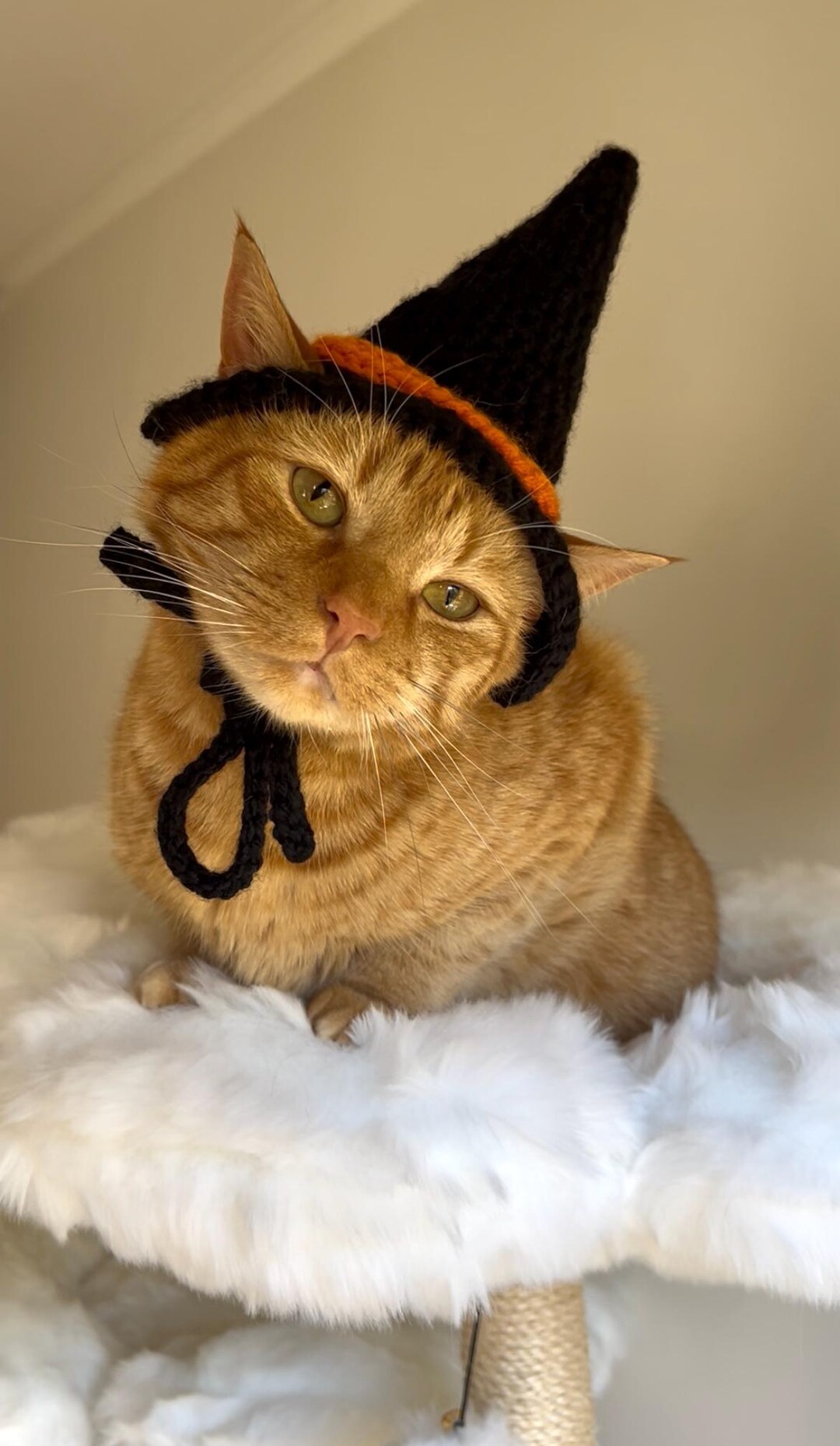 Crochet Witch Cat Hat: Halloween Costume for Pets